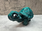 Tortoise