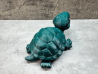 Tortoise