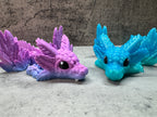 Baby Axolotl Dragon