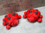 Ladybug