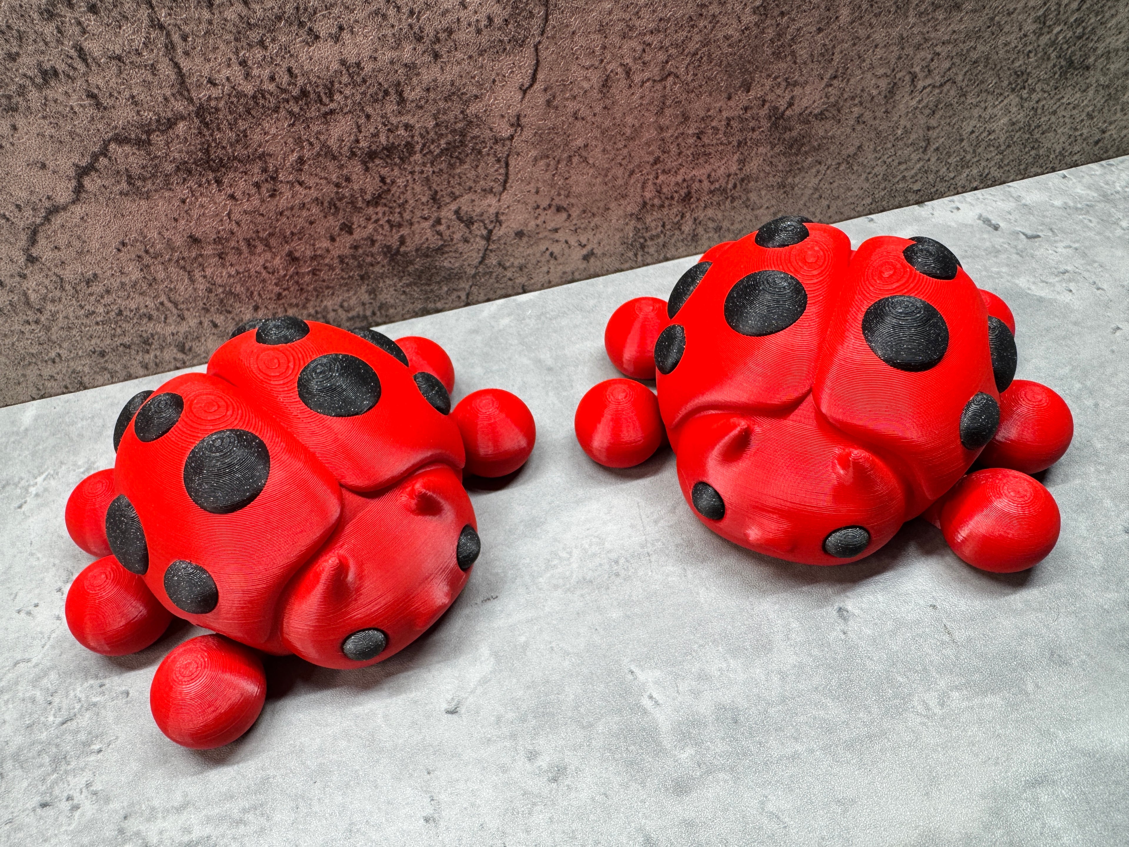 Ladybug