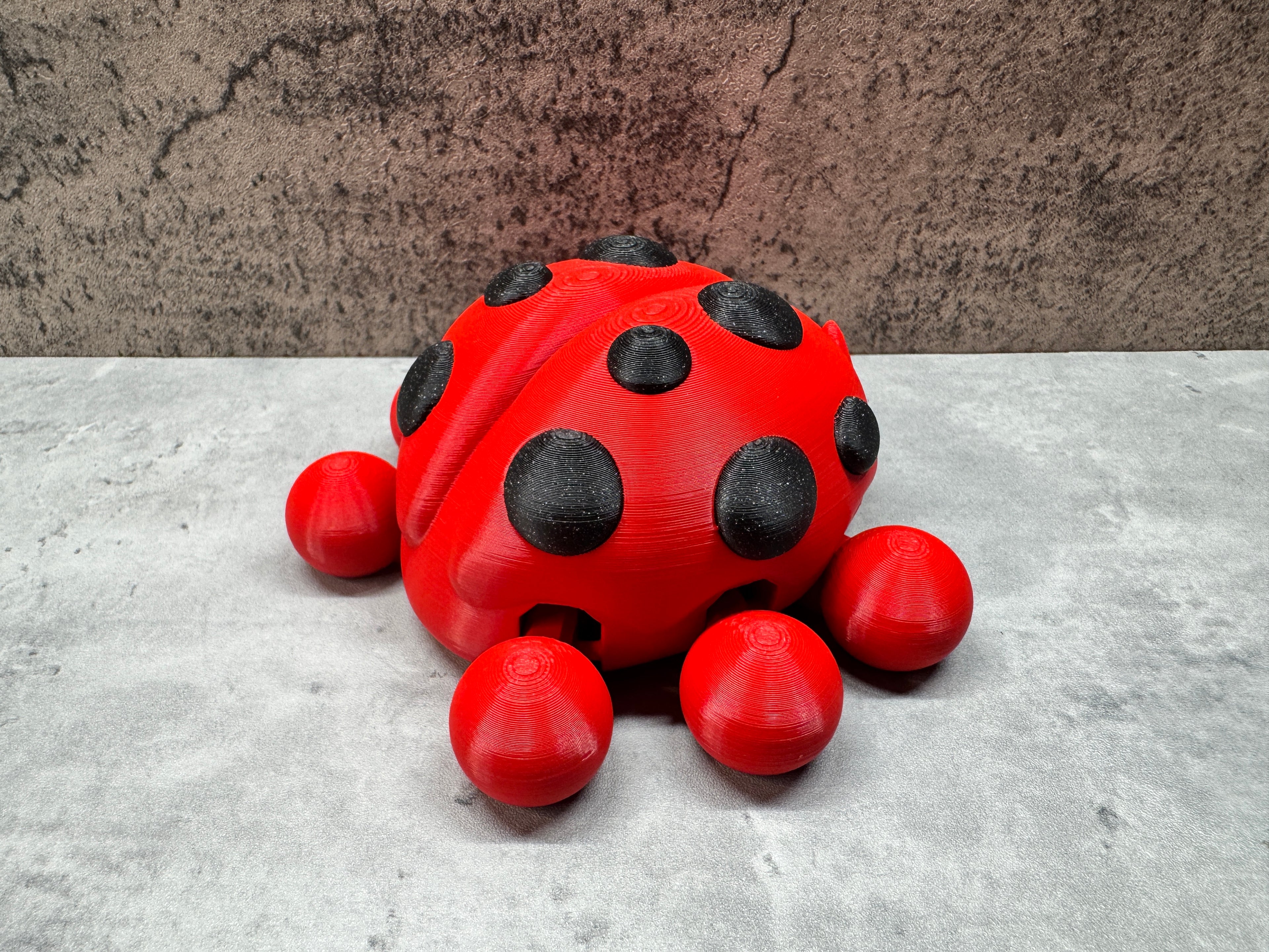Ladybug