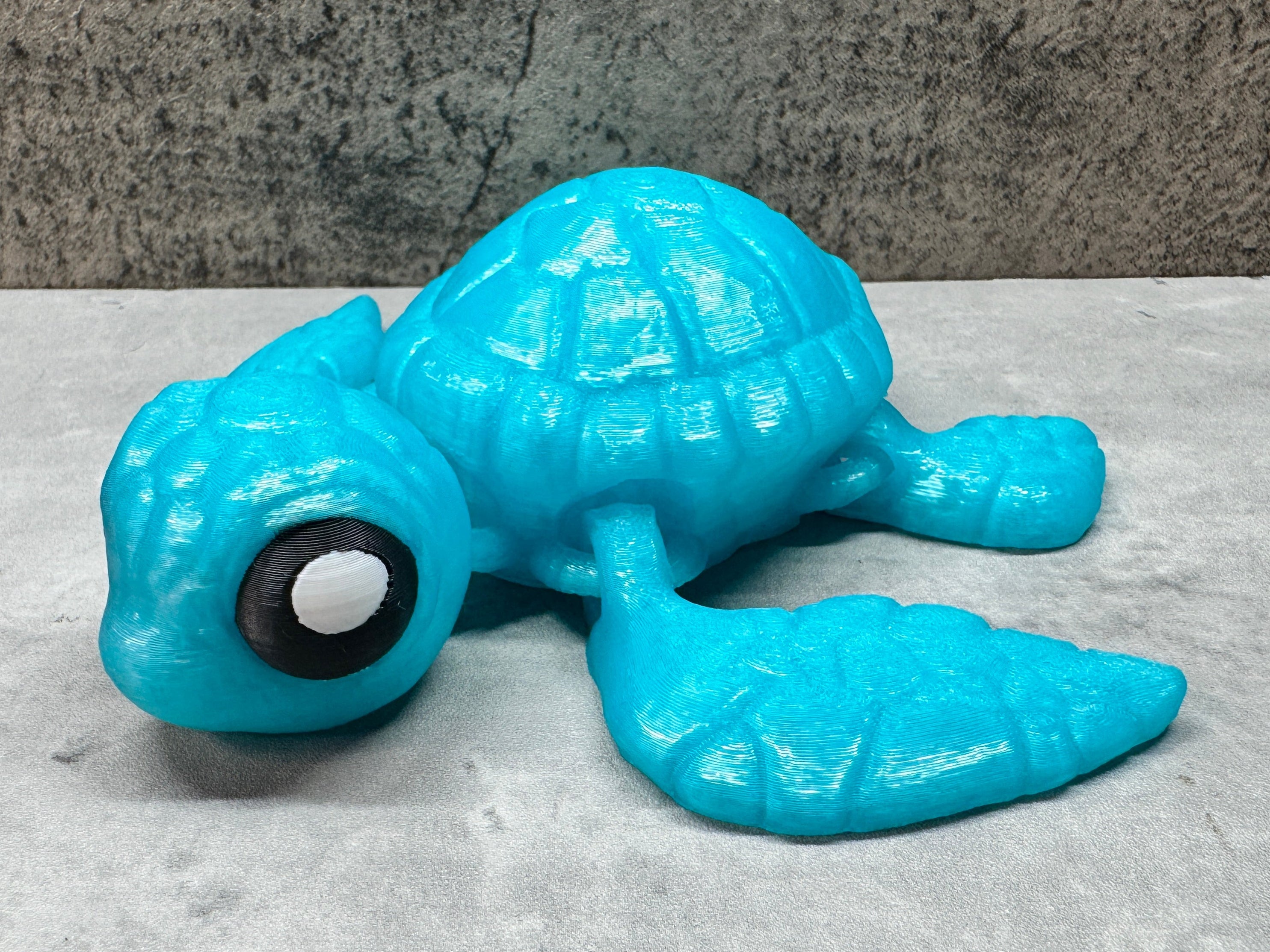 Sea Turtle
