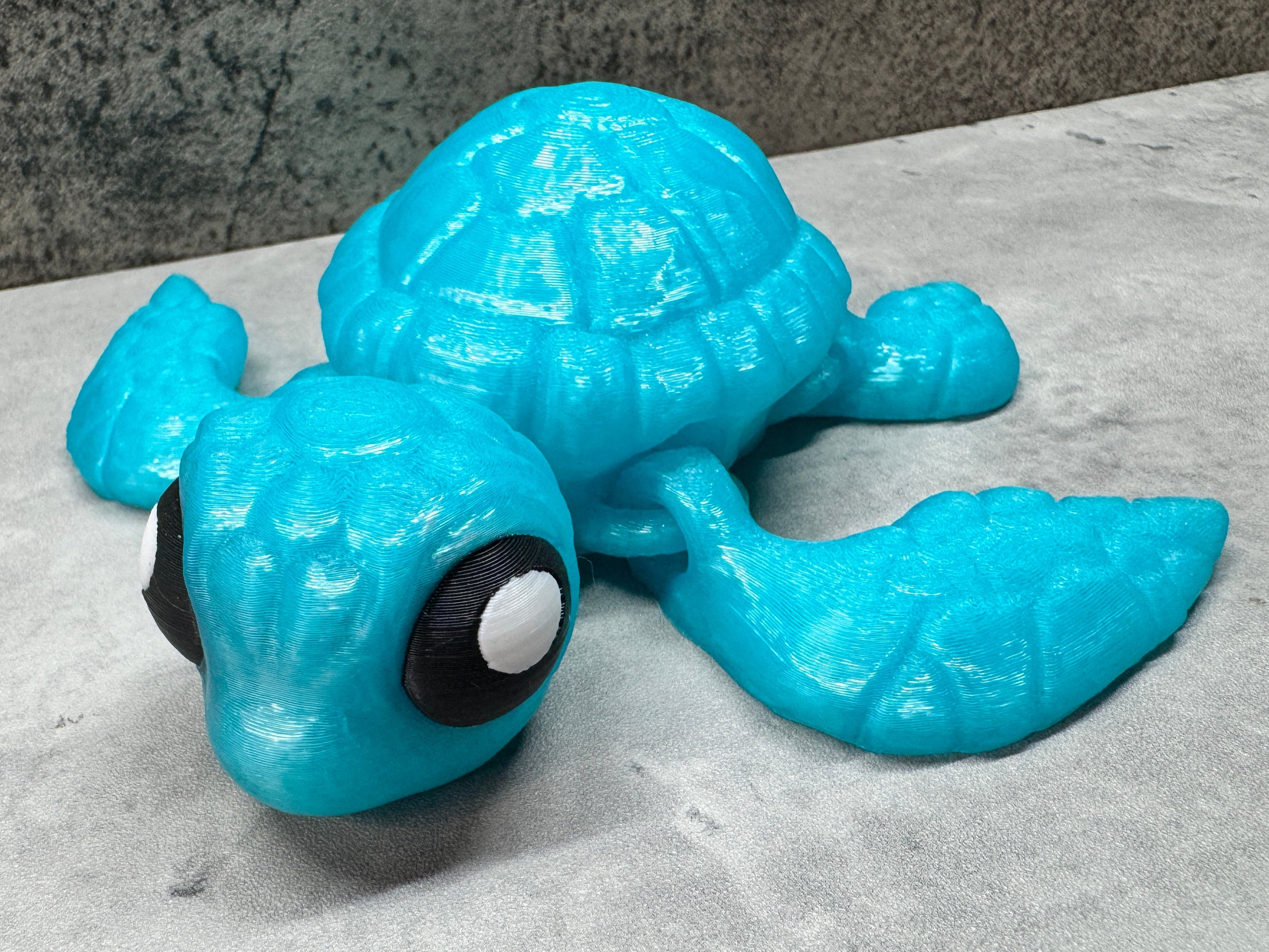 Sea Turtle