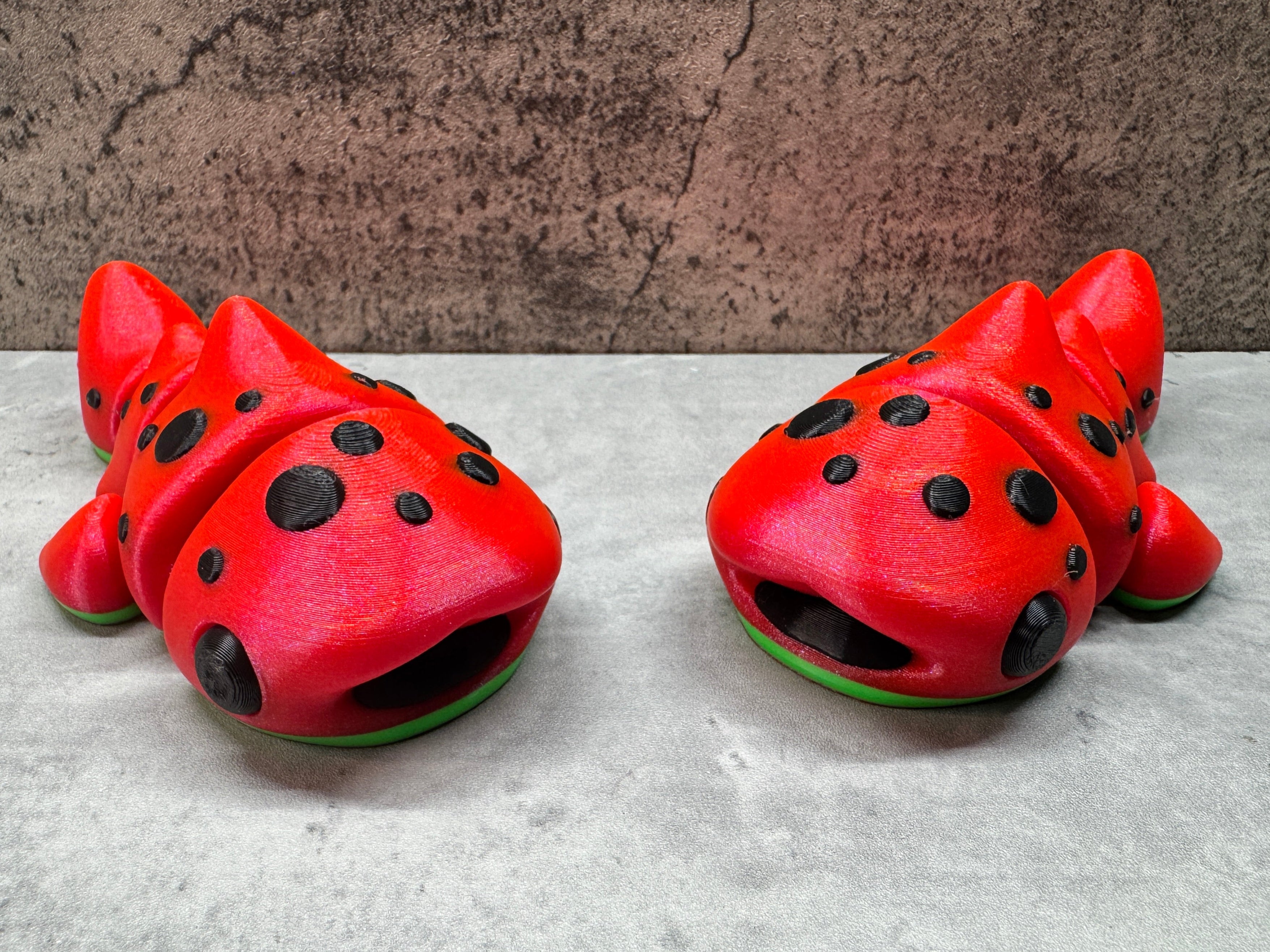 Watermelon Whale Shark