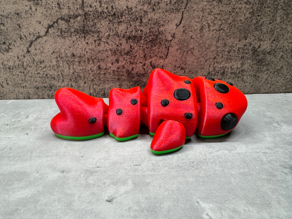 Watermelon Whale Shark