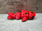 Watermelon Whale Shark