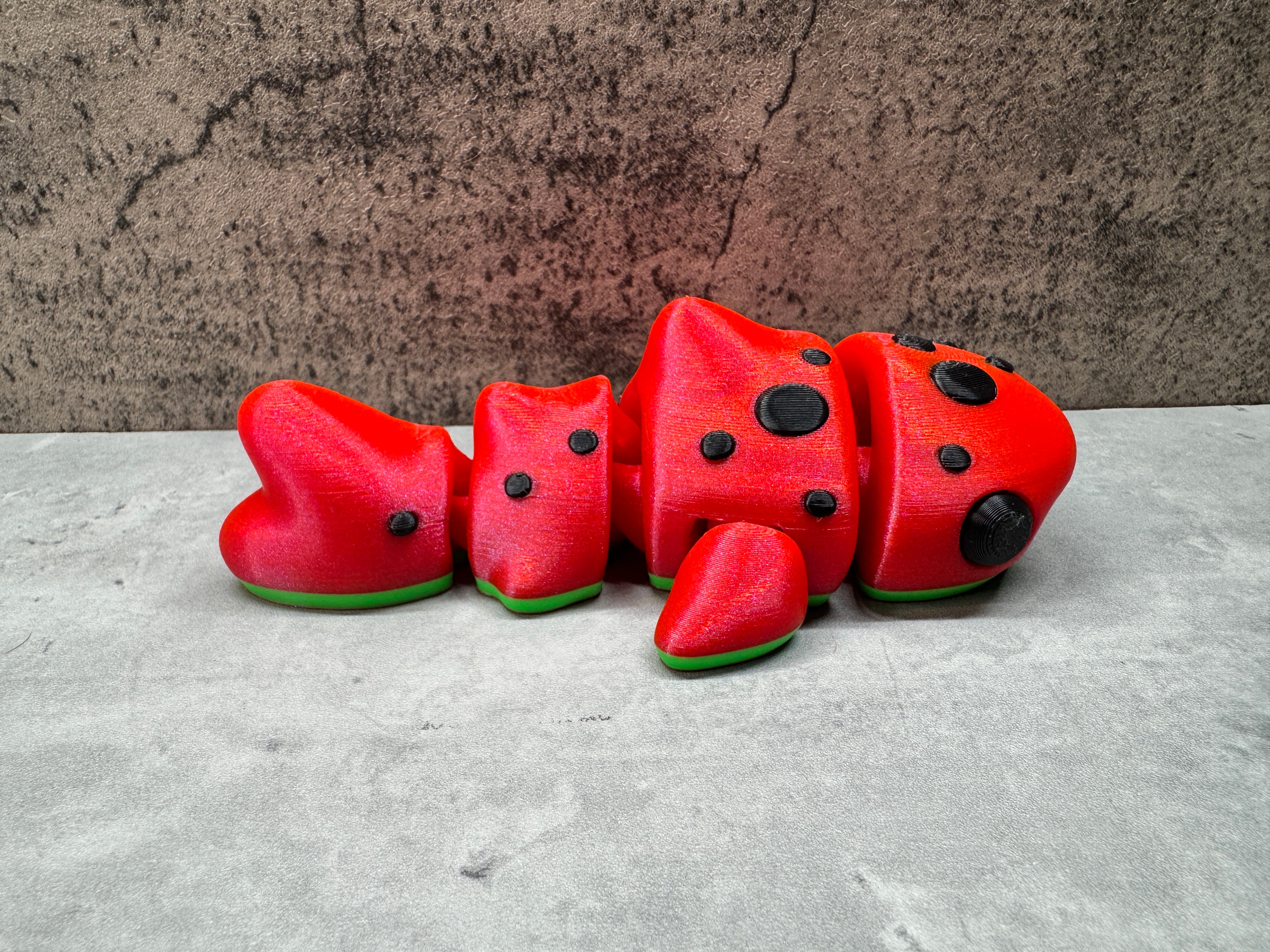 Watermelon Whale Shark