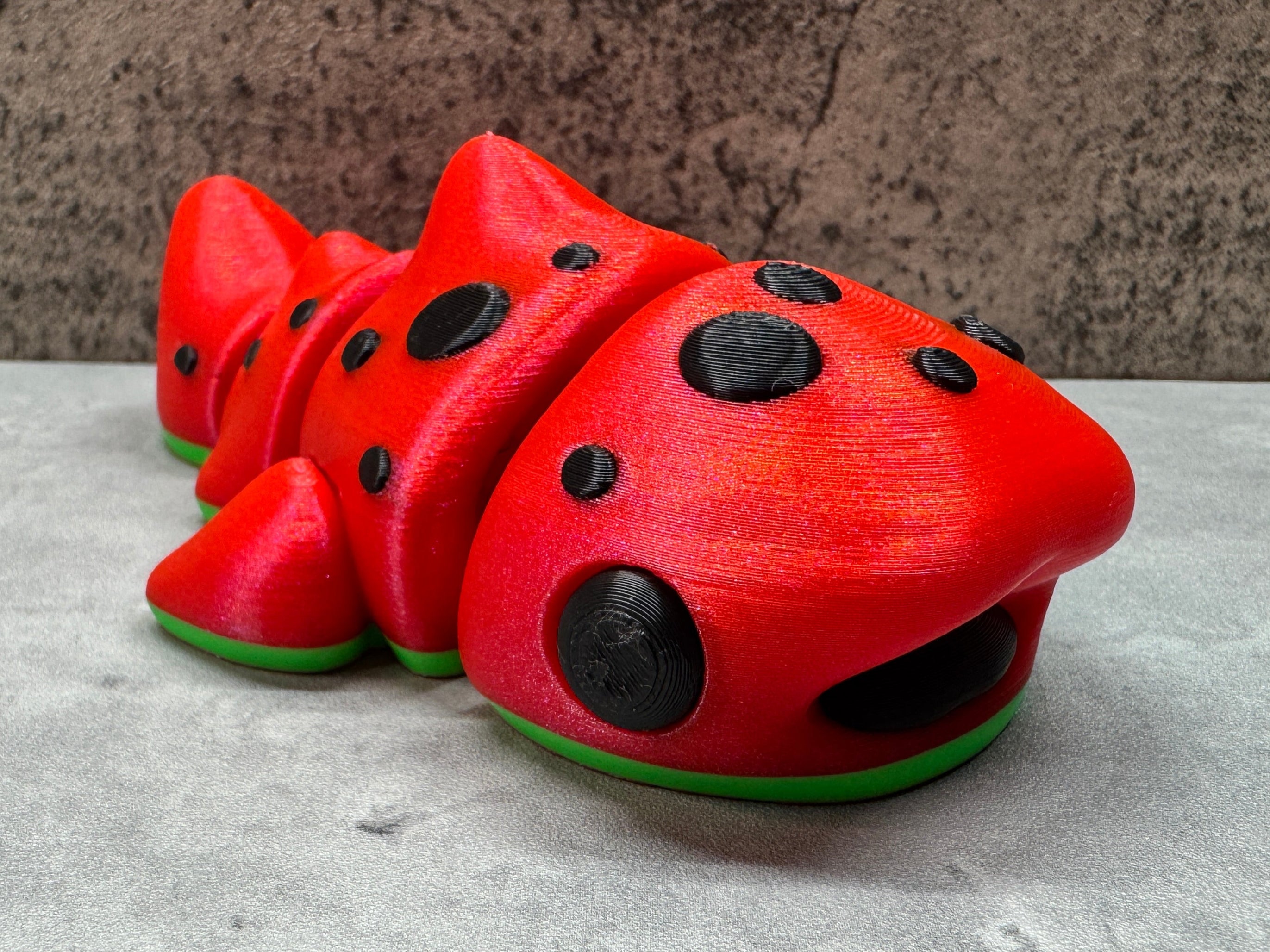 Watermelon Whale Shark