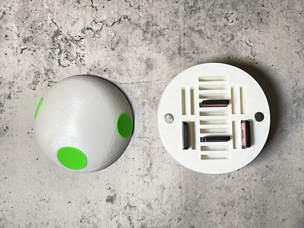 Egg Switch Game Case